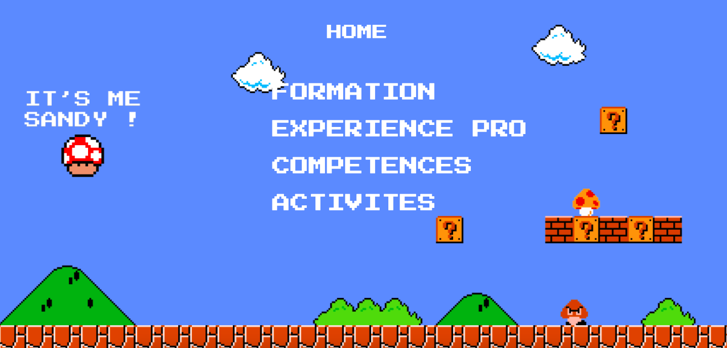 Premier CV Numérique